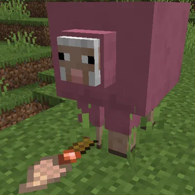 Coral's Fluffy Sheep Artists