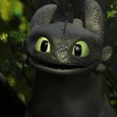 how to train your dragon on berk