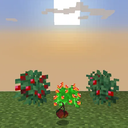 SpecialDrinks Bubbles