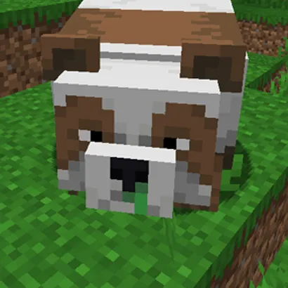 Panda and Axolotl Variants