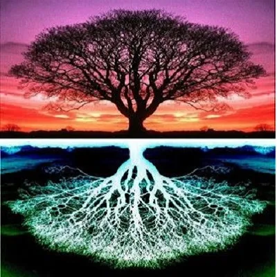 Terrafirmacraft Beyond