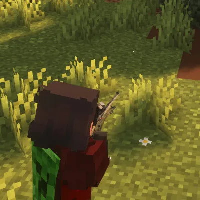 TaCZ: Leawind's Third Person Compat