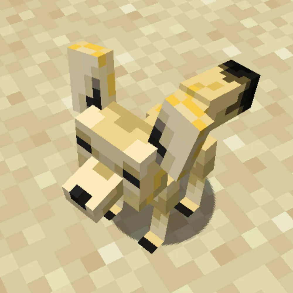 Flora & Fauna of the Desert