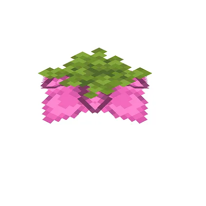 Land of The Lush