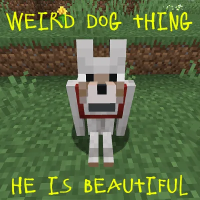 Weird Dog Thing