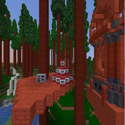 redwood and fossils1.21