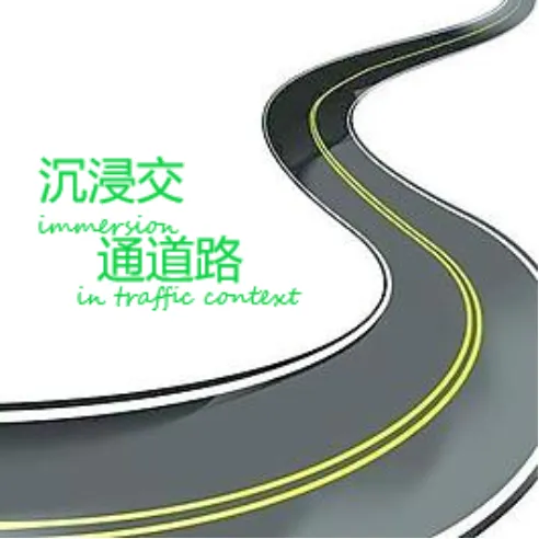 immersion in traffic context