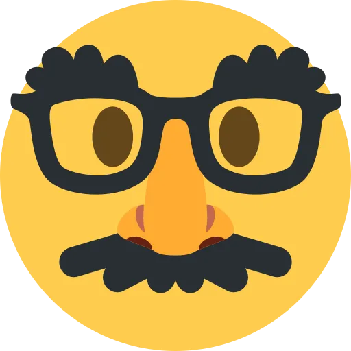 Disguised Face