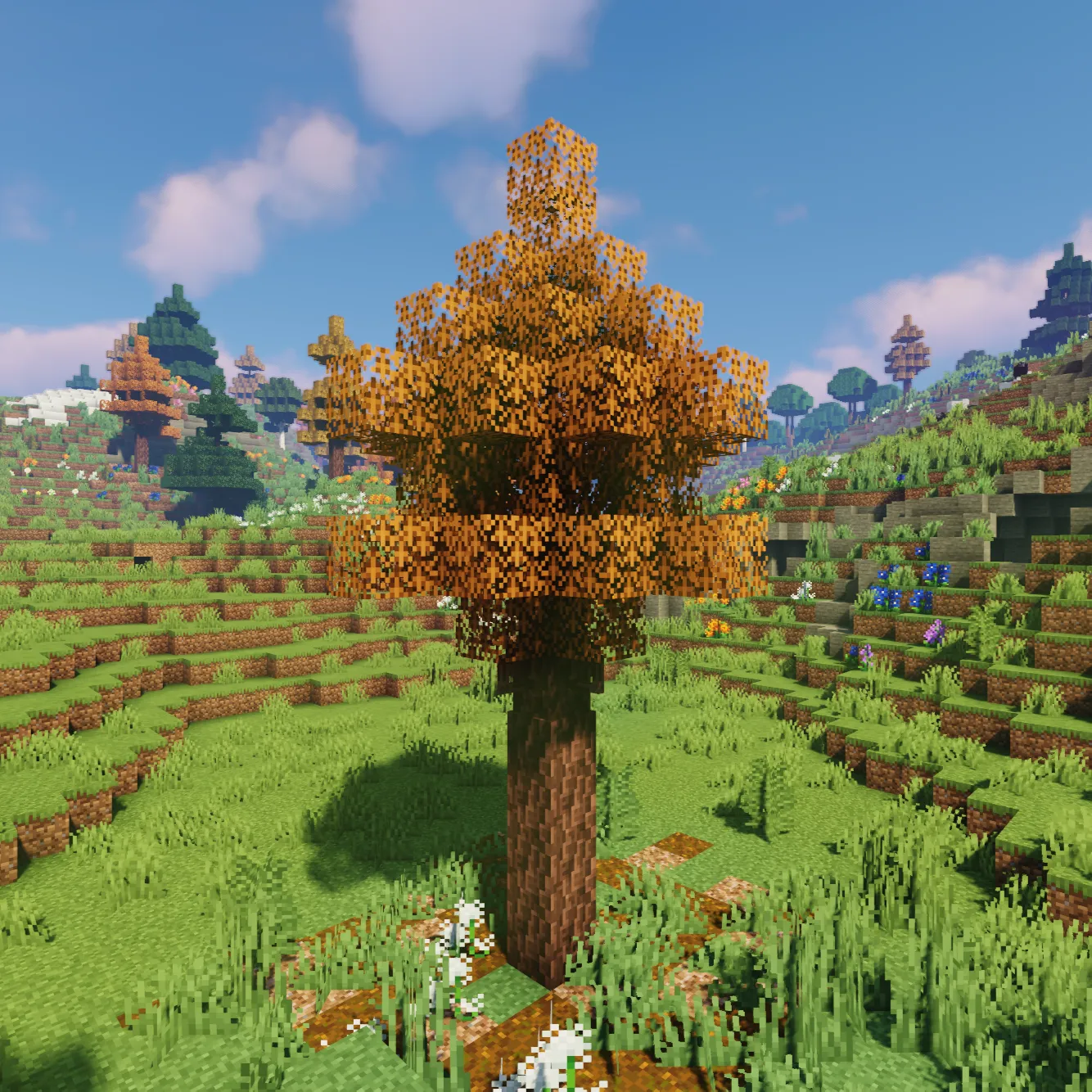 Dynamic Trees for Meadow