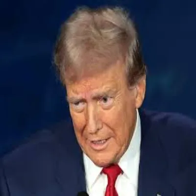 Springfield's Delight