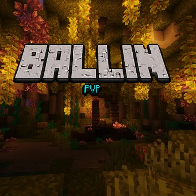 Ballin+ PvP Pack
