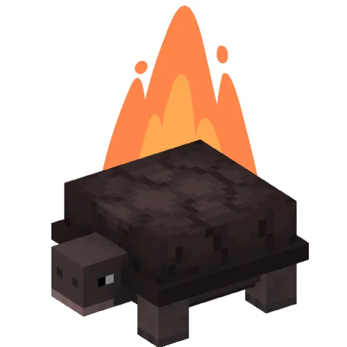 Tortoise Meteor