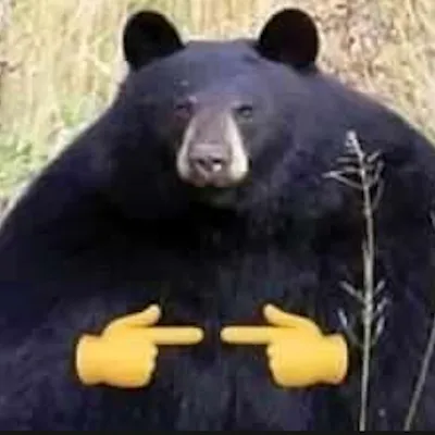 Zoompack Overrides - Fabric