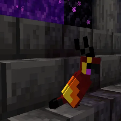 Nether Parrots