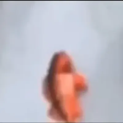 Family Guy Fish Meme