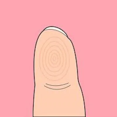 Seven Days of Fingees