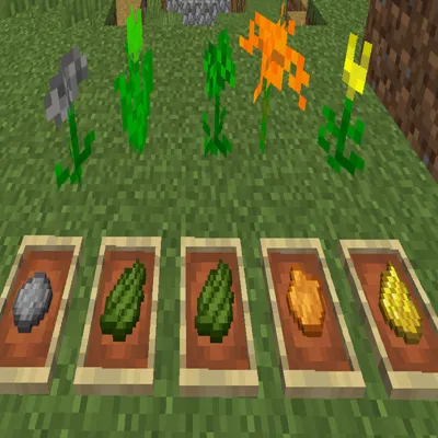 Blooming Wonders