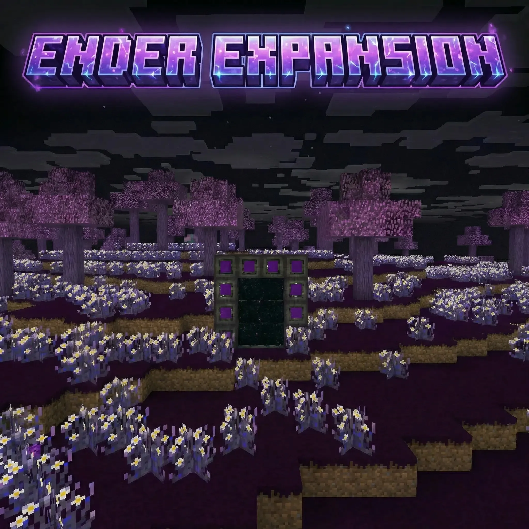 Ender Expansion