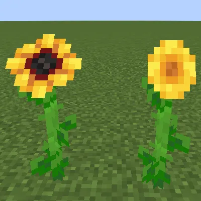 Spawn Sunflower Fix