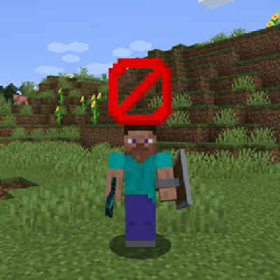 Disable Nametags + Locator Bar