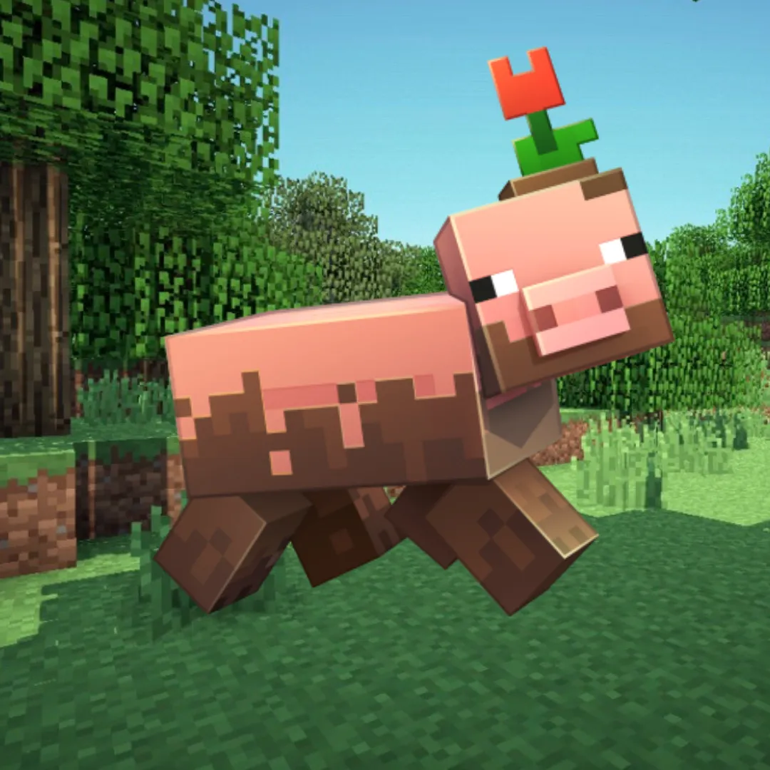 catG´s pigs