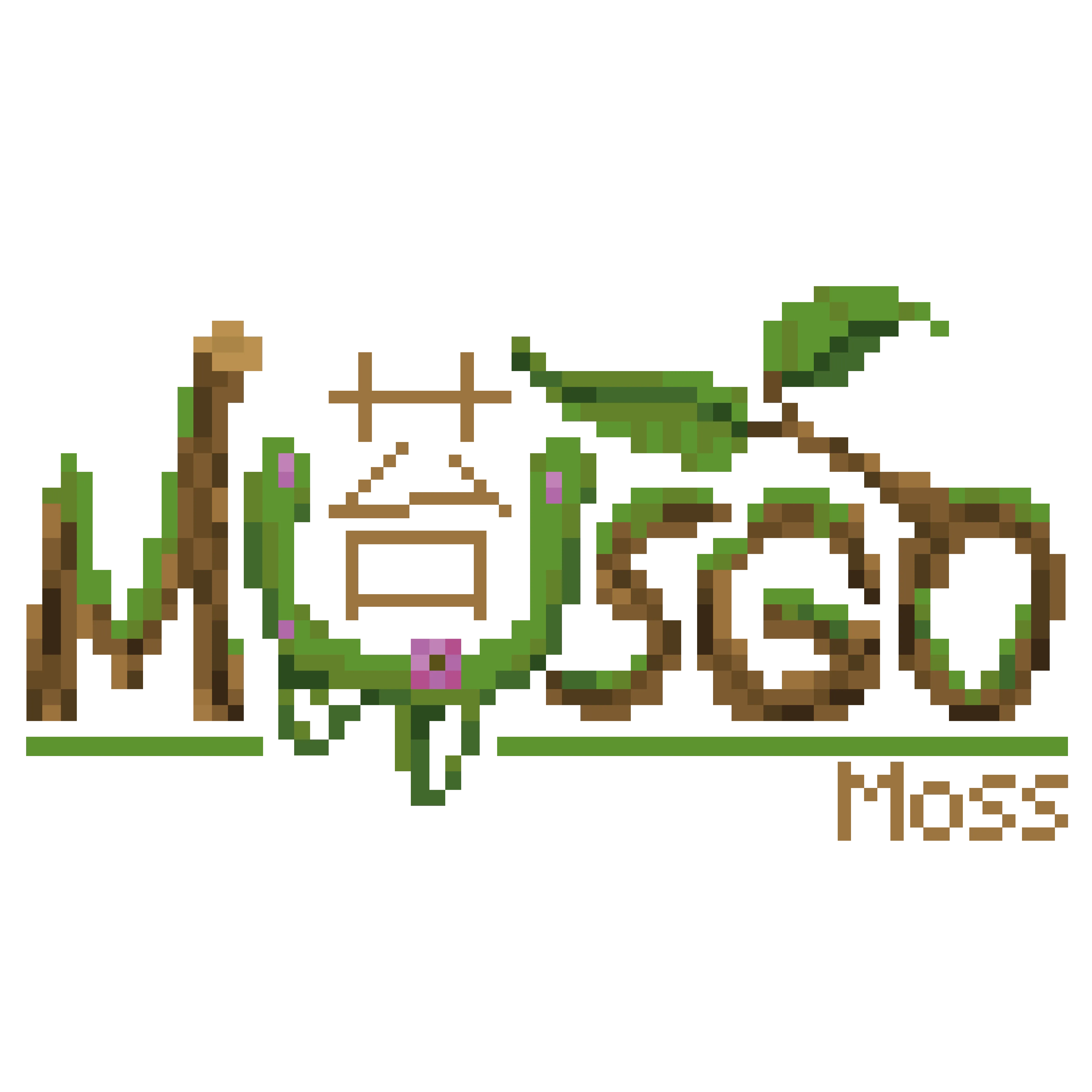Musgo