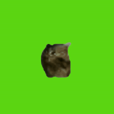 OO EE A E A
