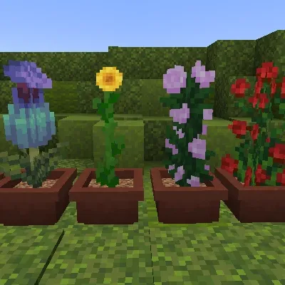 Large Flower Pots