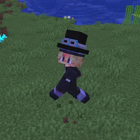 Sabo's hat from One Piece