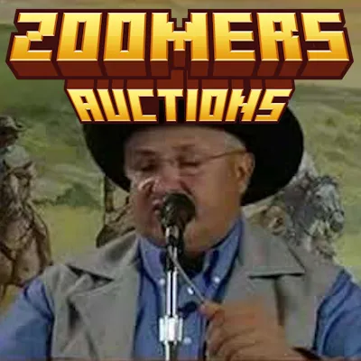 Zoomers Auctions