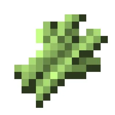 Sugar Cane Grows Faster