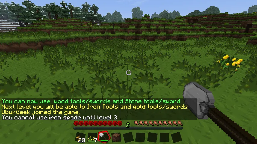 LevelRestrictions