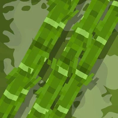 Superior Sugar Cane