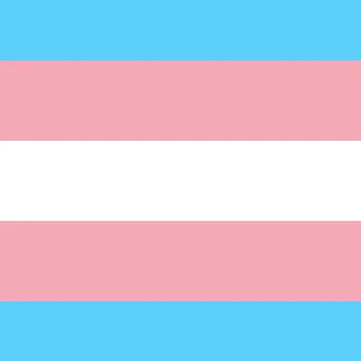 Tay's Transgender Themed Hotbar