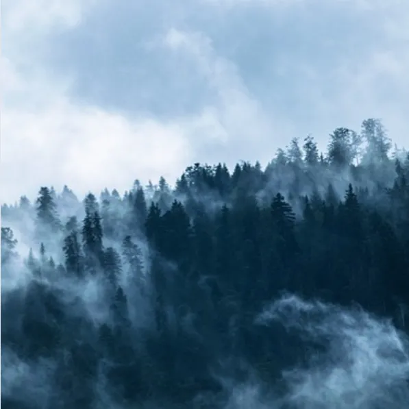 Eldritch Forest