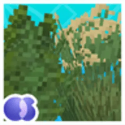 Os' Colorful Grasses