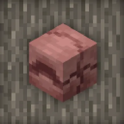 Armadillo Boxes