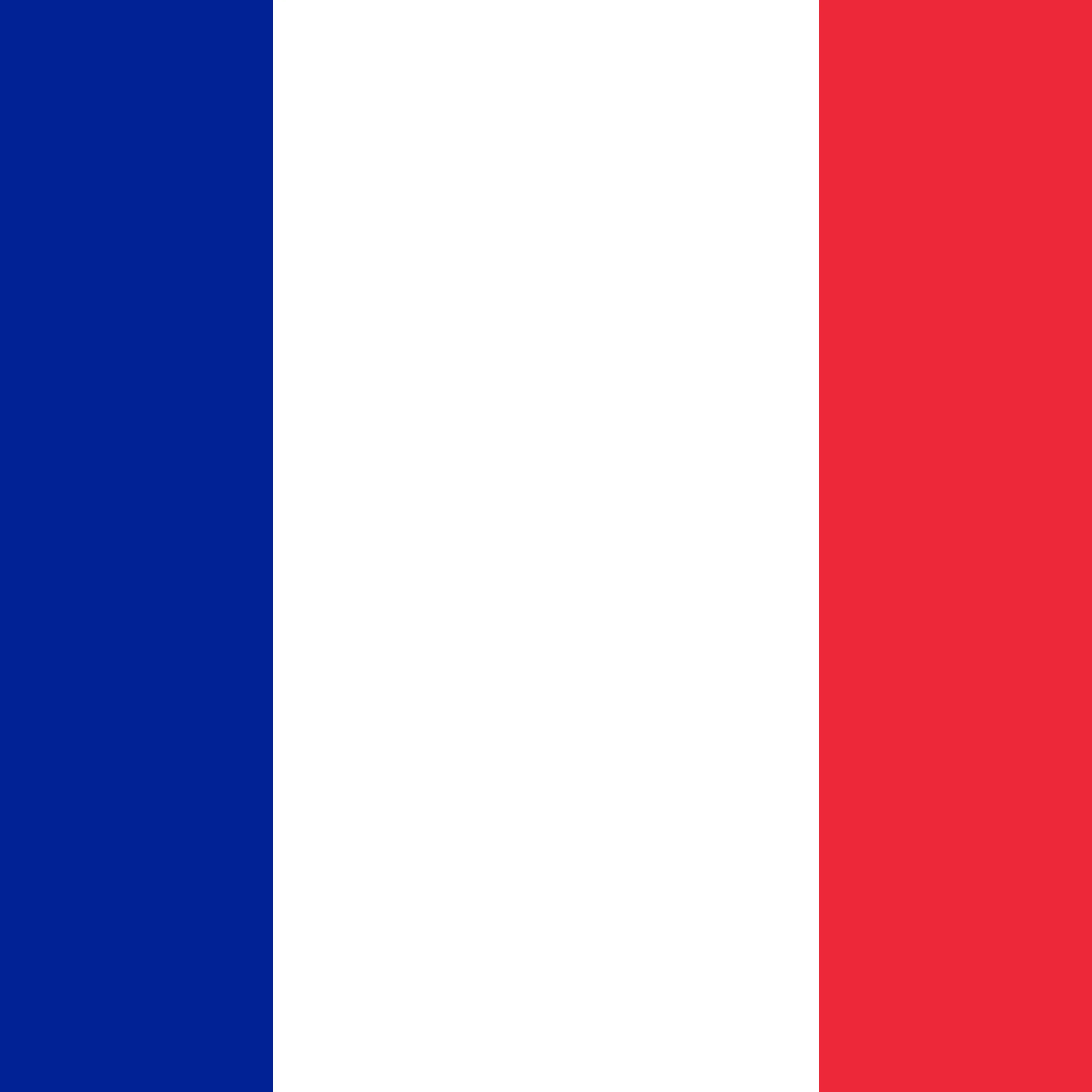 Project Amour