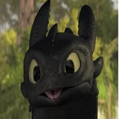BERK DRAGONS