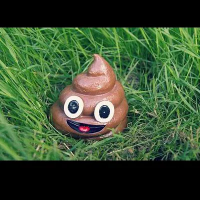 Poopcraft Mod