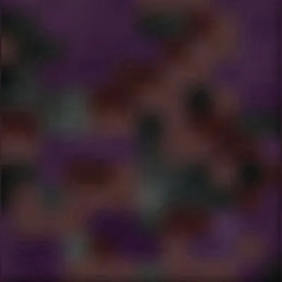 the hudando infection