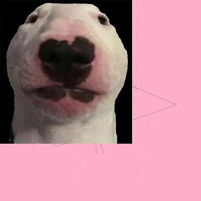 TheNijoMo