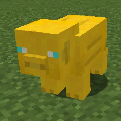 Golden Pig
