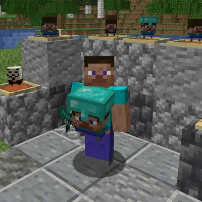Micro Steve