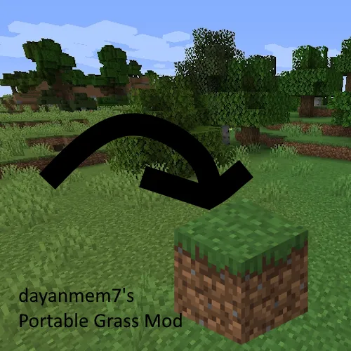 Portable Grass 