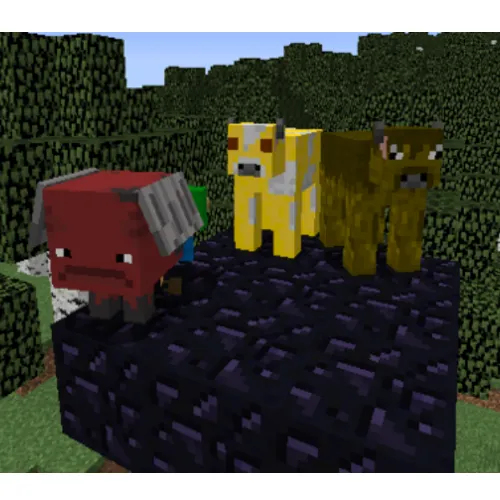 Mobs extra y más