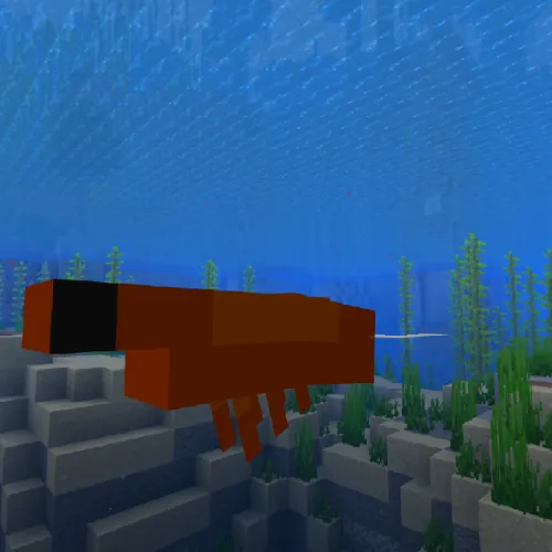 Noah's shrimp
