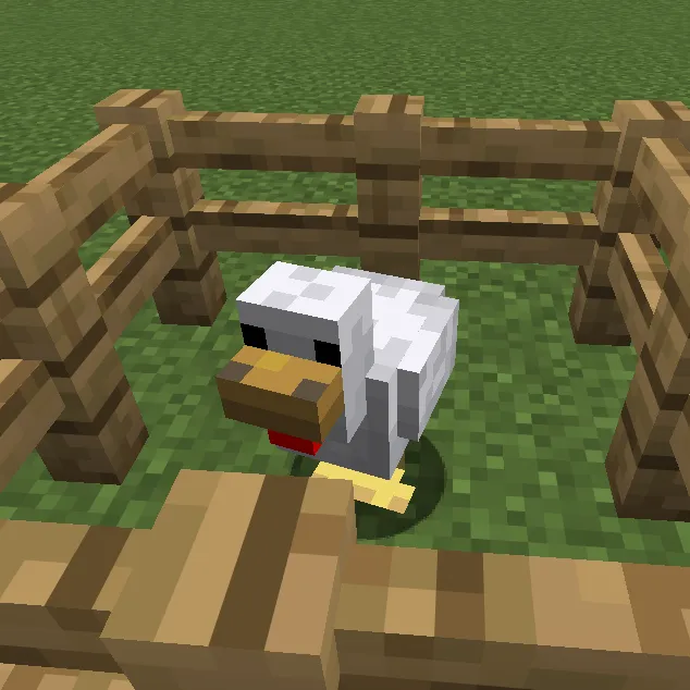 Chicken Bank