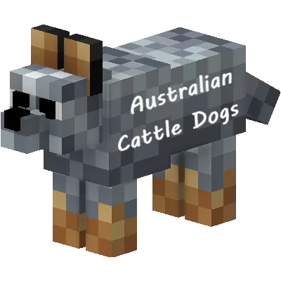 Australian Cattle Dogs