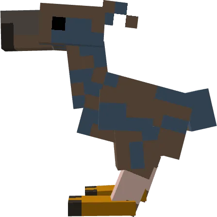 Dodo Birds